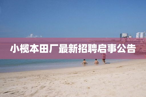 小榄本田厂最新招聘启事公告
