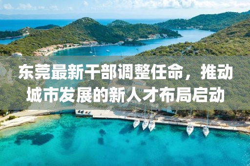 东莞最新干部调整任命，推动城市发展的新人才布局启动