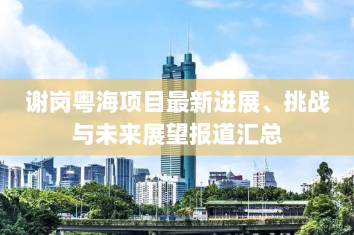 谢岗粤海项目最新进展、挑战与未来展望报道汇总
