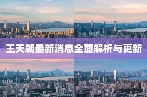 王天朝最新消息全面解析与更新