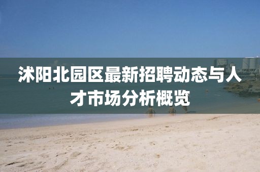 沭阳北园区最新招聘动态与人才市场分析概览
