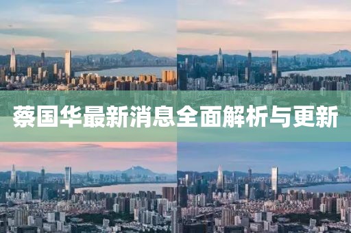 蔡国华最新消息全面解析与更新