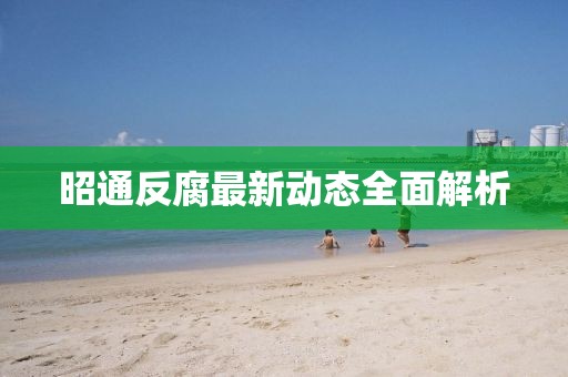 昭通反腐最新动态全面解析