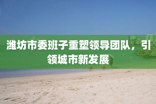 潍坊市委班子重塑领导团队，引领城市新发展