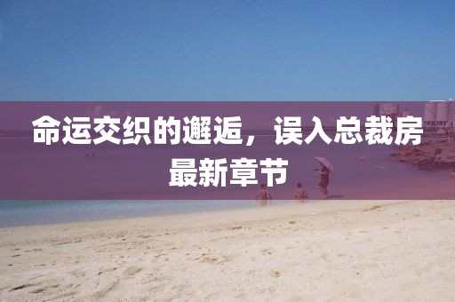 命运交织的邂逅，误入总裁房最新章节