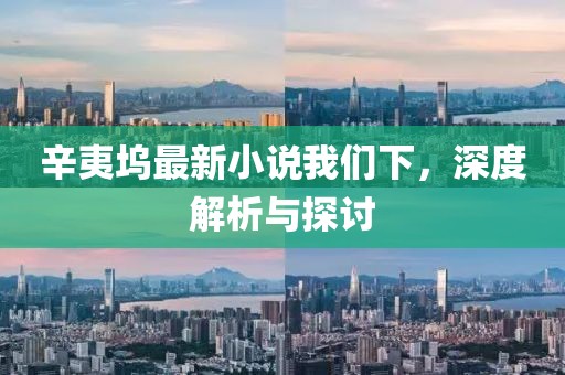 辛夷坞最新小说我们下，深度解析与探讨