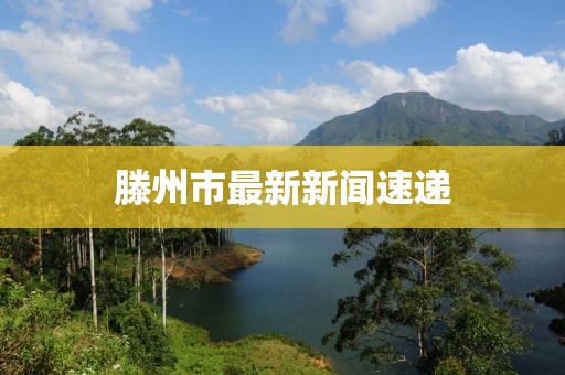 2025年5月29日 第4页