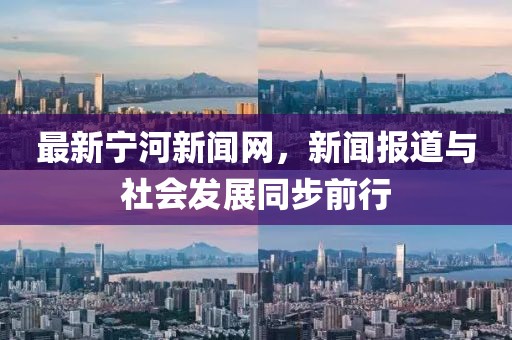 最新宁河新闻网，新闻报道与社会发展同步前行