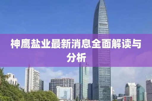 神鹰盐业最新消息全面解读与分析