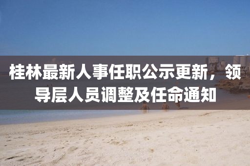 桂林最新人事任职公示更新，领导层人员调整及任命通知