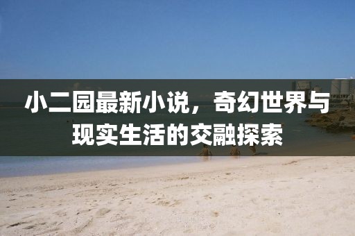 小二园最新小说，奇幻世界与现实生活的交融探索