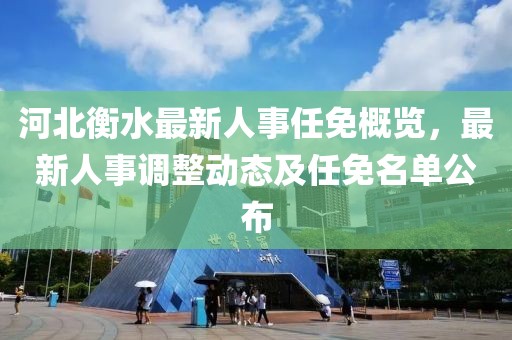 河北衡水最新人事任免概览，最新人事调整动态及任免名单公布