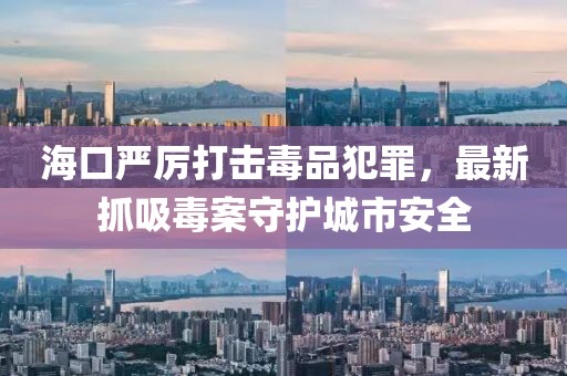 海口严厉打击毒品犯罪，最新抓吸毒案守护城市安全