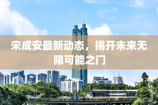 宋成安最新动态，揭开未来无限可能之门