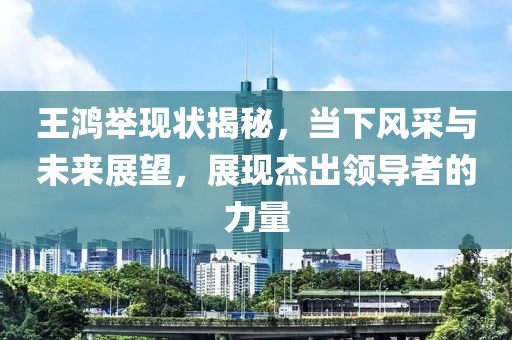 王鸿举现状揭秘，当下风采与未来展望，展现杰出领导者的力量