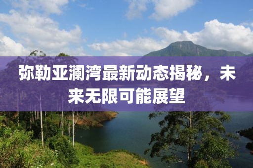 弥勒亚澜湾最新动态揭秘，未来无限可能展望