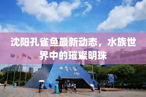 沈阳孔雀鱼最新动态，水族世界中的璀璨明珠