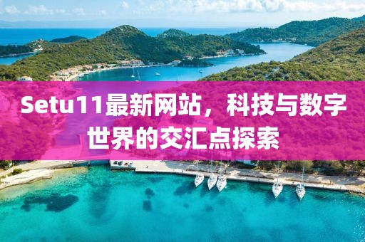 Setu11最新网站，科技与数字世界的交汇点探索