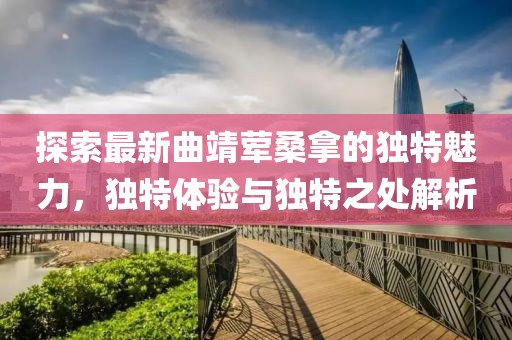 探索最新曲靖荤桑拿的独特魅力，独特体验与独特之处解析