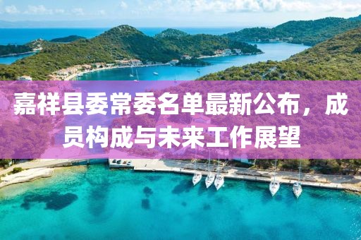 嘉祥县委常委名单最新公布，成员构成与未来工作展望