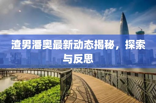 渣男潘奥最新动态揭秘，探索与反思