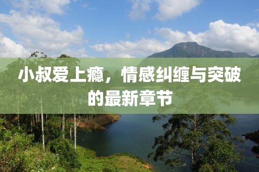 小叔爱上瘾，情感纠缠与突破的最新章节
