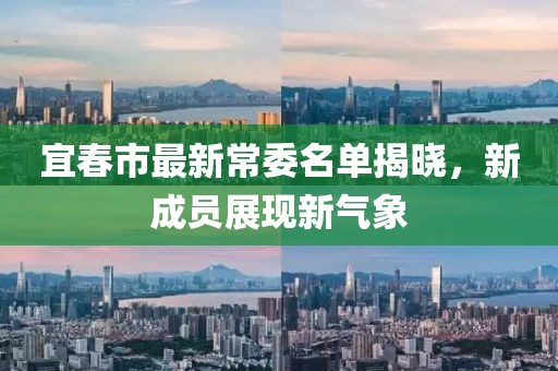 宜春市最新常委名单揭晓，新成员展现新气象
