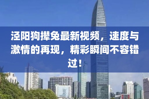 泾阳狗撵兔最新视频，速度与激情的再现，精彩瞬间不容错过！