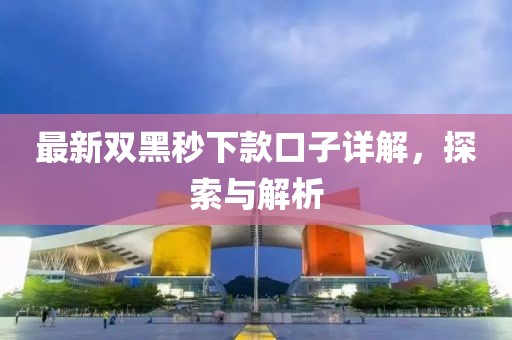 最新双黑秒下款口子详解，探索与解析