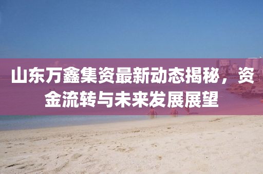 山东万鑫集资最新动态揭秘，资金流转与未来发展展望