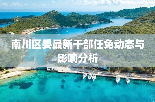 南川区委最新干部任免动态与影响分析