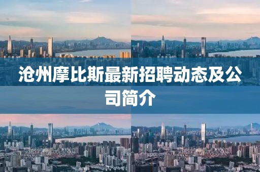 沧州摩比斯最新招聘动态及公司简介