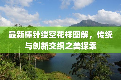 最新棒针缕空花样图解，传统与创新交织之美探索