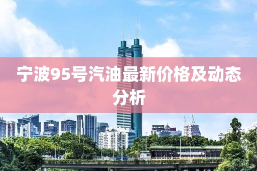 宁波95号汽油最新价格及动态分析