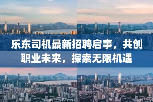 乐东司机最新招聘启事，共创职业未来，探索无限机遇