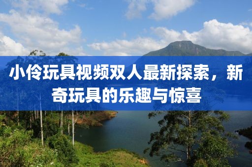 小伶玩具视频双人最新探索，新奇玩具的乐趣与惊喜