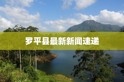 2025年6月10日 第2页