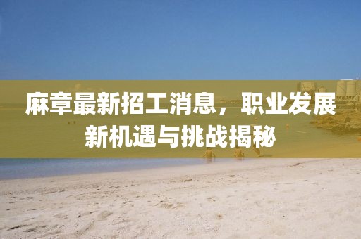 麻章最新招工消息，职业发展新机遇与挑战揭秘