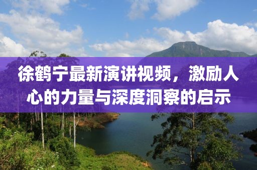 徐鹤宁最新演讲视频，激励人心的力量与深度洞察的启示