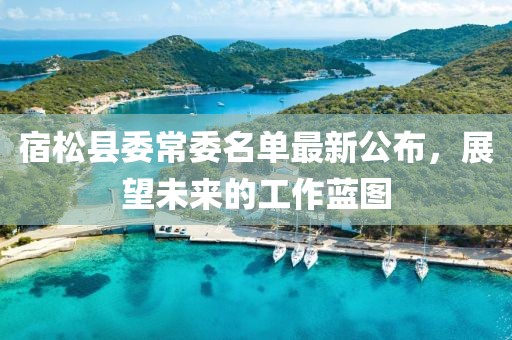 宿松县委常委名单最新公布，展望未来的工作蓝图