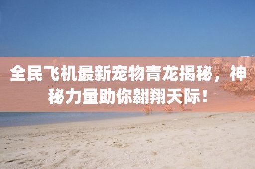 全民飞机最新宠物青龙揭秘，神秘力量助你翱翔天际！