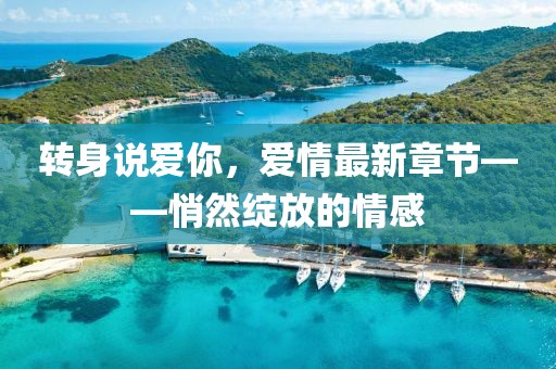 转身说爱你，爱情最新章节——悄然绽放的情感