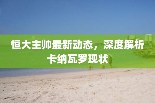 恒大主帅最新动态，深度解析卡纳瓦罗现状