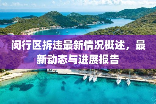闵行区拆违最新情况概述，最新动态与进展报告