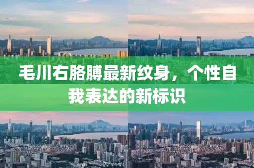 毛川右胳膊最新纹身，个性自我表达的新标识