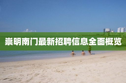崇明南门最新招聘信息全面概览