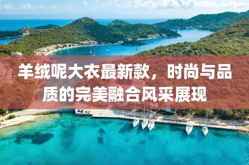 羊绒呢大衣最新款，时尚与品质的完美融合风采展现