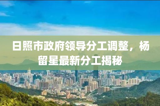 日照市政府领导分工调整，杨留星最新分工揭秘