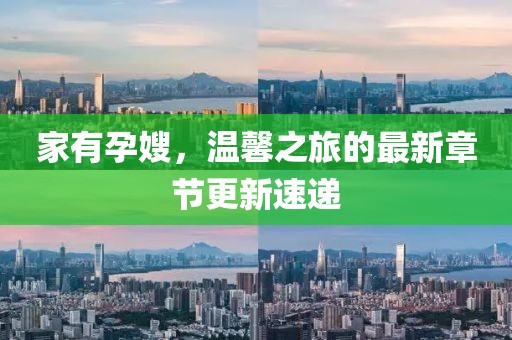 家有孕嫂，温馨之旅的最新章节更新速递