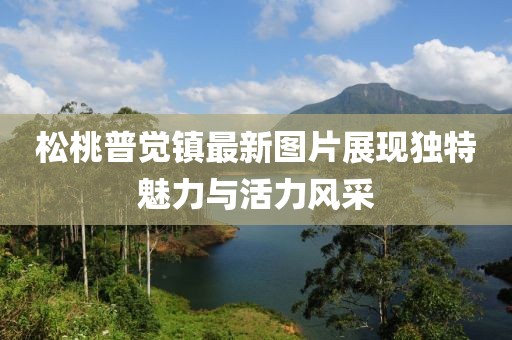 松桃普觉镇最新图片展现独特魅力与活力风采